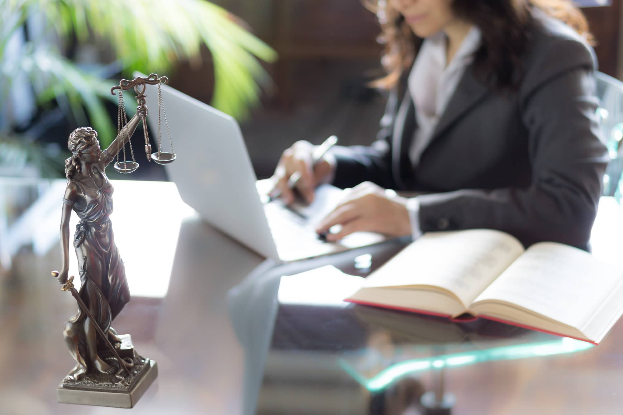 Legal leads Scholarship Essay