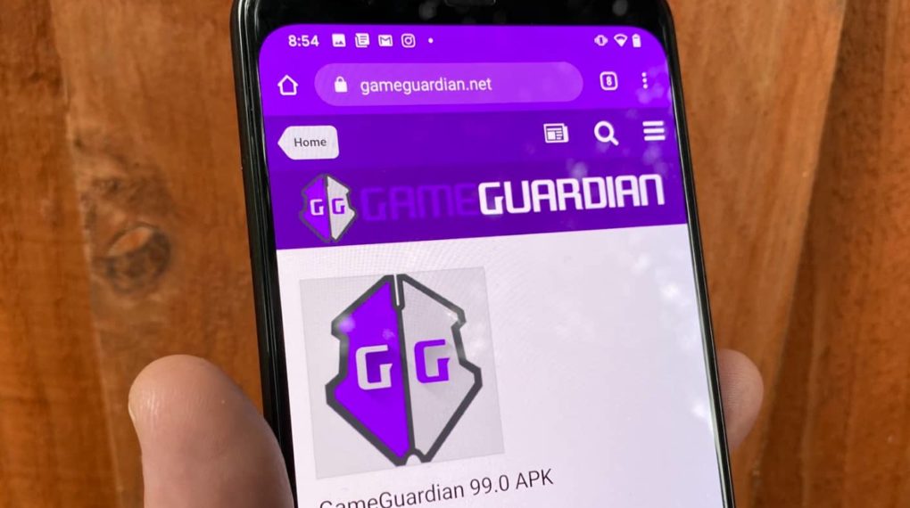 What is iGameGuardian