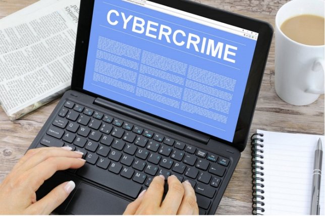 Robust Defense Against Cybercrime Charges